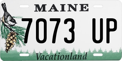 ME license plate 7073UP