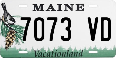 ME license plate 7073VD