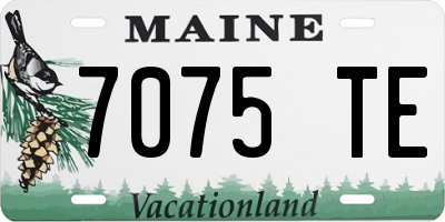 ME license plate 7075TE