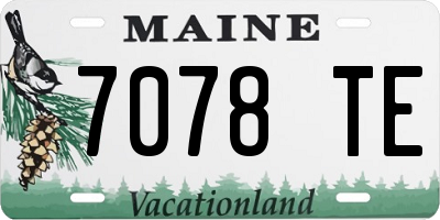 ME license plate 7078TE