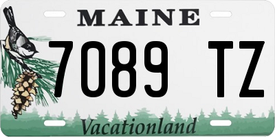 ME license plate 7089TZ