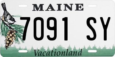 ME license plate 7091SY