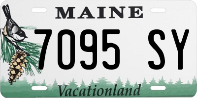 ME license plate 7095SY