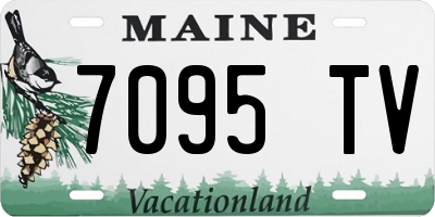 ME license plate 7095TV