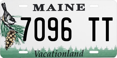 ME license plate 7096TT