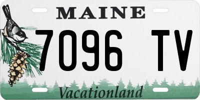 ME license plate 7096TV
