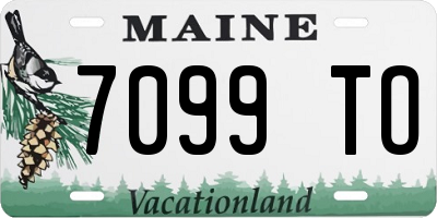 ME license plate 7099TO