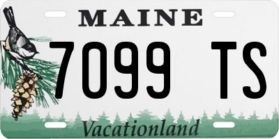 ME license plate 7099TS