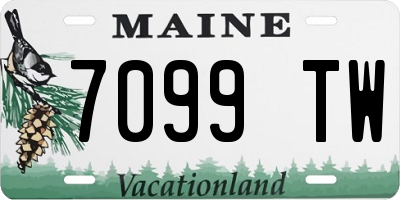 ME license plate 7099TW