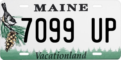 ME license plate 7099UP