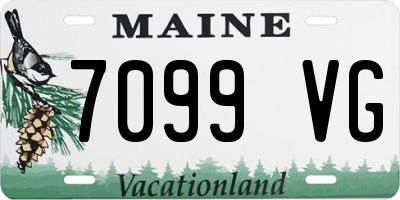 ME license plate 7099VG