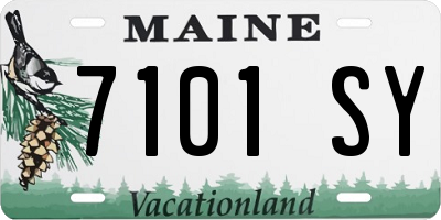 ME license plate 7101SY