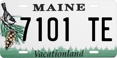 ME license plate 7101TE
