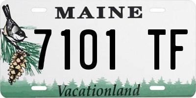 ME license plate 7101TF