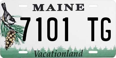 ME license plate 7101TG