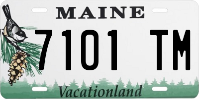 ME license plate 7101TM