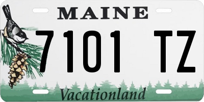 ME license plate 7101TZ