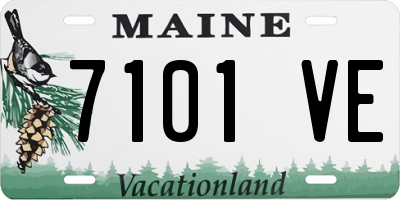 ME license plate 7101VE