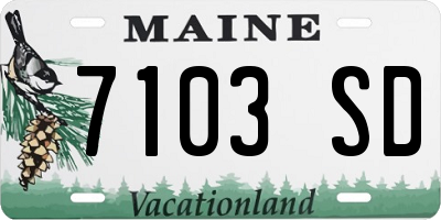 ME license plate 7103SD