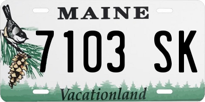 ME license plate 7103SK