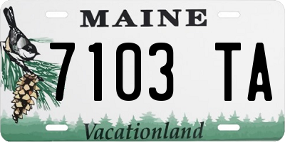 ME license plate 7103TA