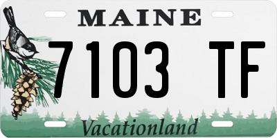 ME license plate 7103TF