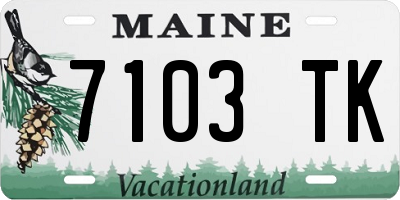 ME license plate 7103TK