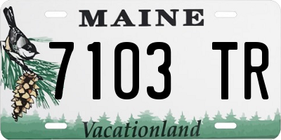 ME license plate 7103TR