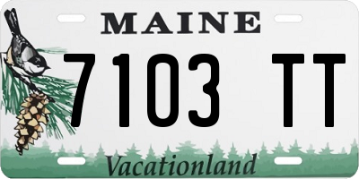 ME license plate 7103TT