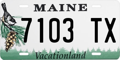 ME license plate 7103TX