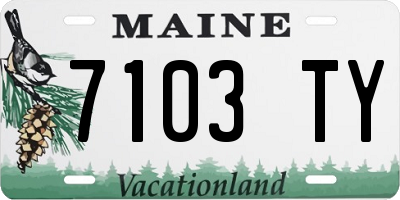 ME license plate 7103TY