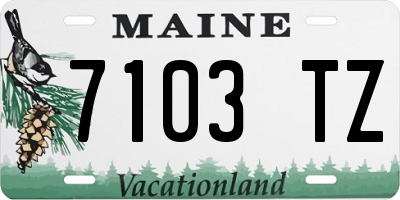 ME license plate 7103TZ