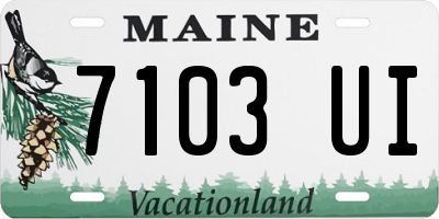 ME license plate 7103UI