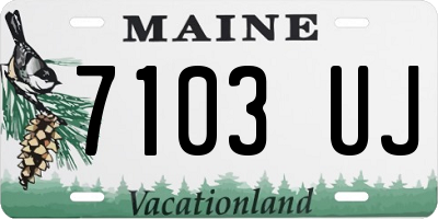 ME license plate 7103UJ
