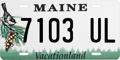 ME license plate 7103UL