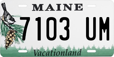 ME license plate 7103UM