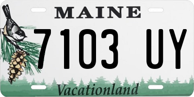 ME license plate 7103UY