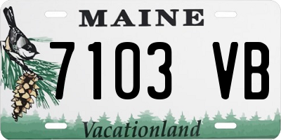 ME license plate 7103VB
