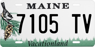 ME license plate 7105TV