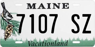 ME license plate 7107SZ