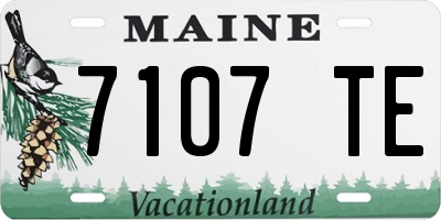 ME license plate 7107TE