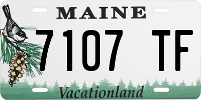 ME license plate 7107TF