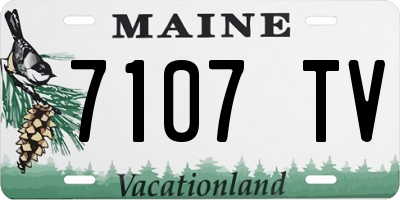 ME license plate 7107TV