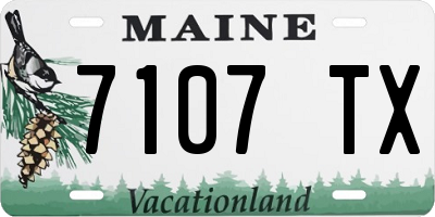 ME license plate 7107TX