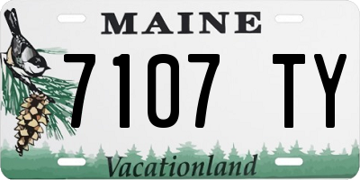 ME license plate 7107TY