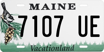 ME license plate 7107UE