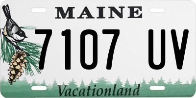 ME license plate 7107UV