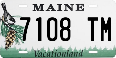 ME license plate 7108TM