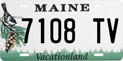ME license plate 7108TV