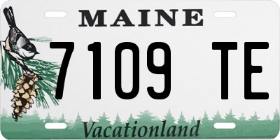 ME license plate 7109TE